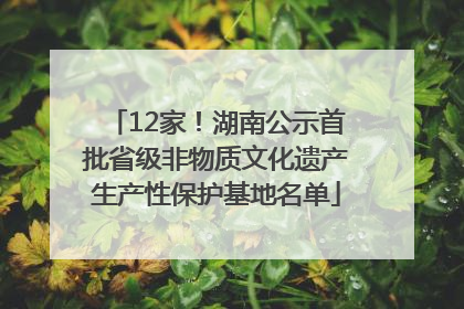 12家！湖南公示首批省级非物质文化遗产生产性保护基地名单