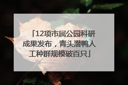 12项市属公园科研成果发布，青头潜鸭人工种群规模破百只
