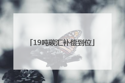 19吨碳汇补偿到位