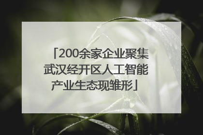 200余家企业聚集 武汉经开区人工智能产业生态现雏形