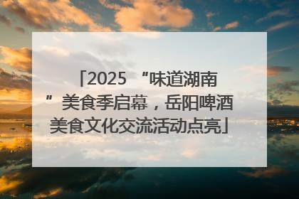 2025 “味道湖南”美食季启幕，岳阳啤酒美食文化交流活动点亮