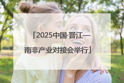2025中国·晋江—南非产业对接会举行