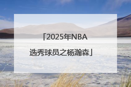 2025年NBA选秀球员之杨瀚森
