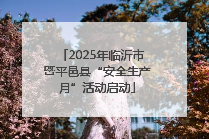 2025年临沂市暨平邑县“安全生产月”活动启动