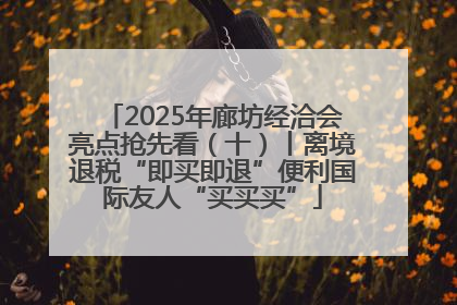 2025年廊坊经洽会亮点抢先看（十）丨离境退税“即买即退”便利国际友人“买买买”