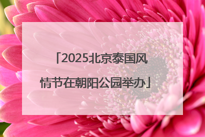 2025北京泰国风情节在朝阳公园举办