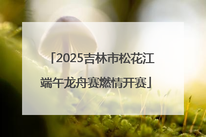 2025吉林市松花江端午龙舟赛燃情开赛