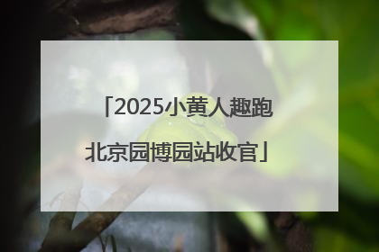 2025小黄人趣跑北京园博园站收官