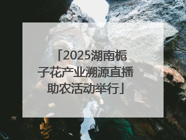 2025湖南栀子花产业溯源直播助农活动举行
