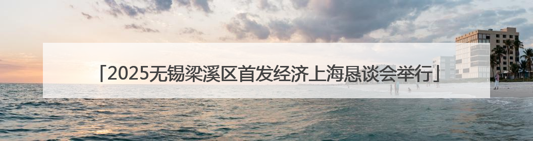 2025无锡梁溪区首发经济上海恳谈会举行