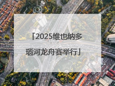 2025维也纳多瑙河龙舟赛举行