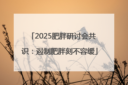 2025肥胖研讨会共识：遏制肥胖刻不容缓