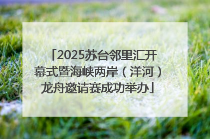 2025苏台邻里汇开幕式暨海峡两岸（洋河）龙舟邀请赛成功举办