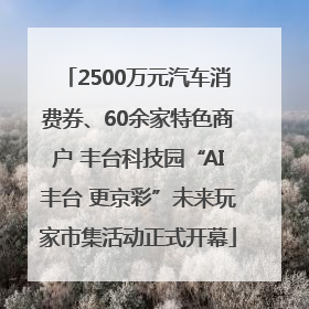 2500万元汽车消费券、60余家特色商户 丰台科技园“AI丰台 更京彩”未来玩家市集活动正式开幕