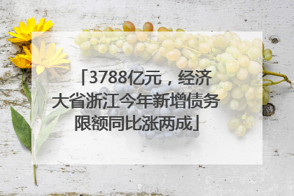 3788亿元，经济大省浙江今年新增债务限额同比涨两成