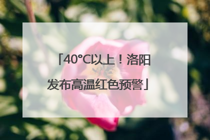 40°C以上！洛阳发布高温红色预警