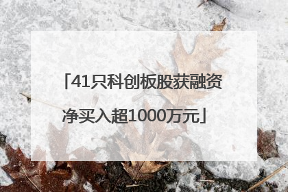 41只科创板股获融资净买入超1000万元
