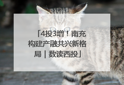 4投3增！南充构建产融共兴新格局｜数读西投