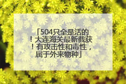 504只全是活的！大连海关最新截获！有攻击性和毒性，属于外来物种