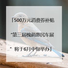 500万元消费券补贴 “第三届槐荫惠民车展”将于6月中旬举办
