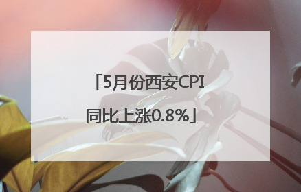 5月份西安CPI同比上涨0.8%