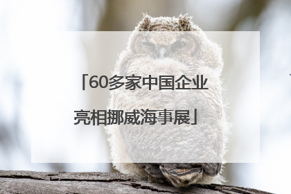 60多家中国企业亮相挪威海事展