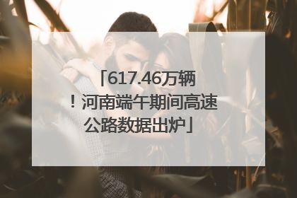 617.46万辆！河南端午期间高速公路数据出炉