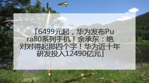 6499元起，华为发布Pura80系列手机！余承东：绝对对得起那四个字！华为近十年研发投入12490亿元