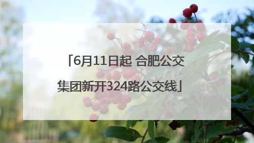 6月11日起 合肥公交集团新开324路公交线