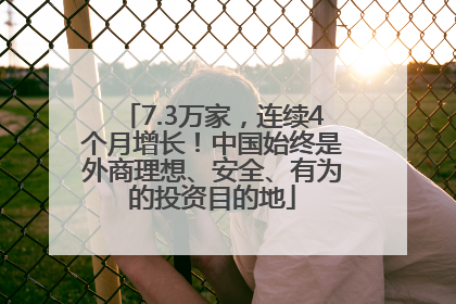 7.3万家，连续4个月增长！中国始终是外商理想、安全、有为的投资目的地
