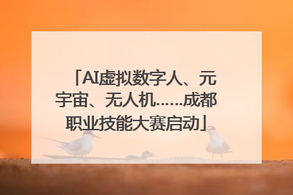 AI虚拟数字人、元宇宙、无人机……成都职业技能大赛启动