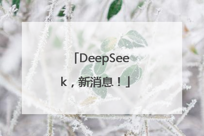 DeepSeek，新消息！