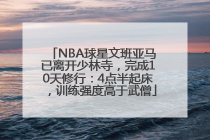 NBA球星文班亚马已离开少林寺，完成10天修行：4点半起床，训练强度高于武僧