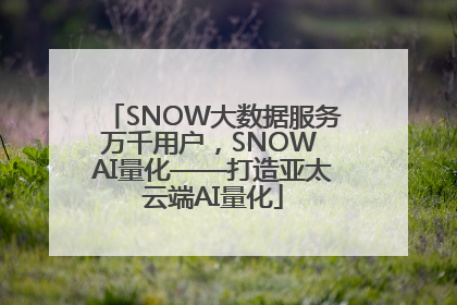 SNOW大数据服务万千用户，SNOW AI量化——打造亚太云端AI量化