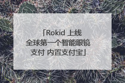 Rokid 上线全球第一个智能眼镜支付 内置支付宝